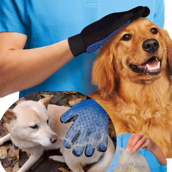Kedi Köpek Tüy Toplama Masaj Kaşıma Eldiveni